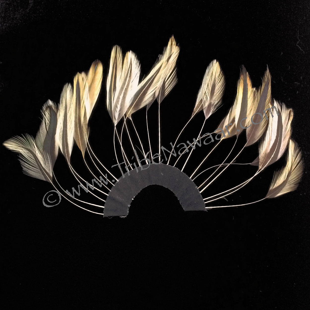 Stripped Natural Feather Hackle