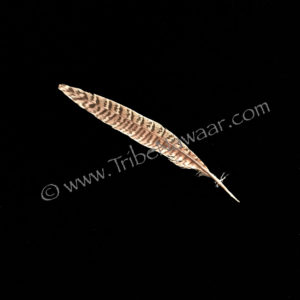 Single Medium Length Natural Pheasant Feather