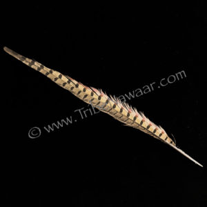 Single XL Length Natural Pheasant Feather