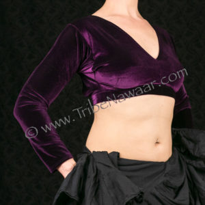 Regal Purple Velvet Choli
