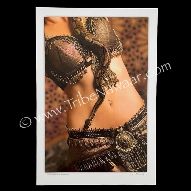 Belly Dancer With Her Snake Photograph