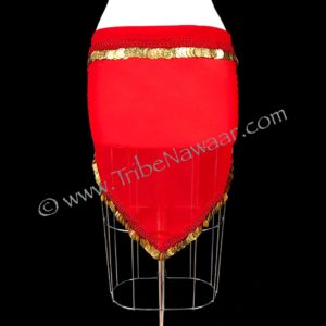 Red & Gold Coin Belly Dancer Hip Scarf