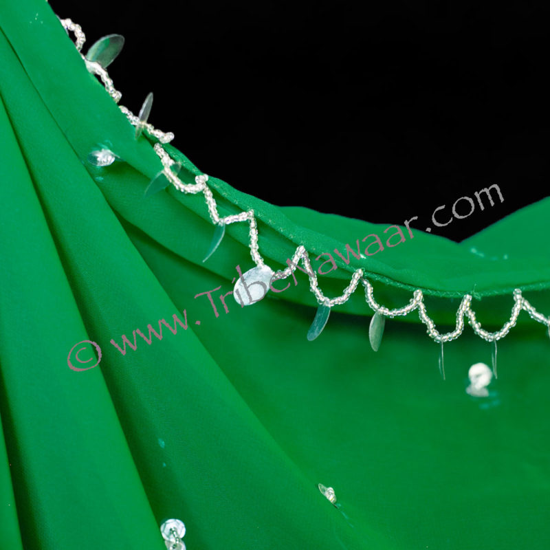 Green Chiffon Veil With Sequins
