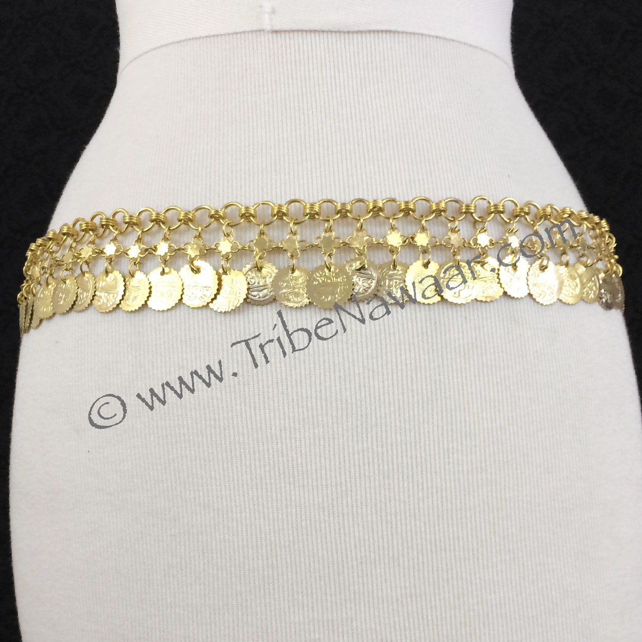 Gold Coin Belly Dance Costume Belt