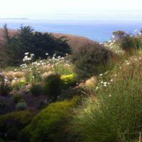 Every Day Is Earth Day: Our home away from home in Bodega Bay, California.