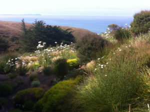 Every Day Is Earth Day: Our home away from home in Bodega Bay, California.