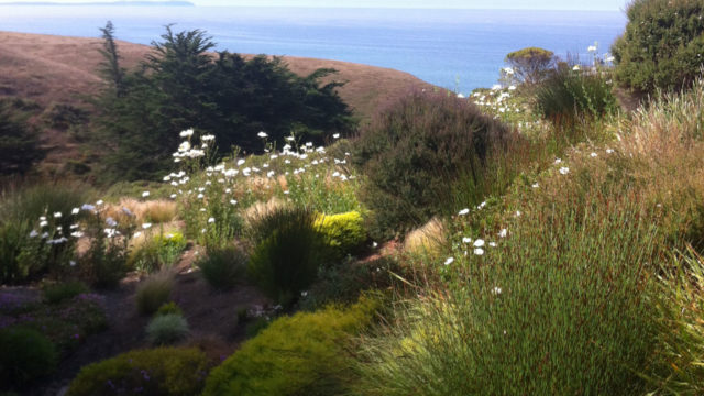 Every Day Is Earth Day: Our home away from home in Bodega Bay, California.