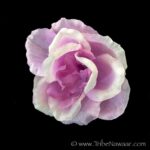 Icicle rose flower hair clip for belly dance, cosplay and more from Tribe Nawaar