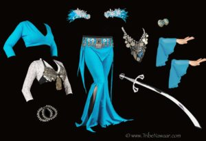 2022-23 winter costuming combo from The Nawaar Marketplace- all belly dance costuming and accessories available at www.TribeNawaar.com