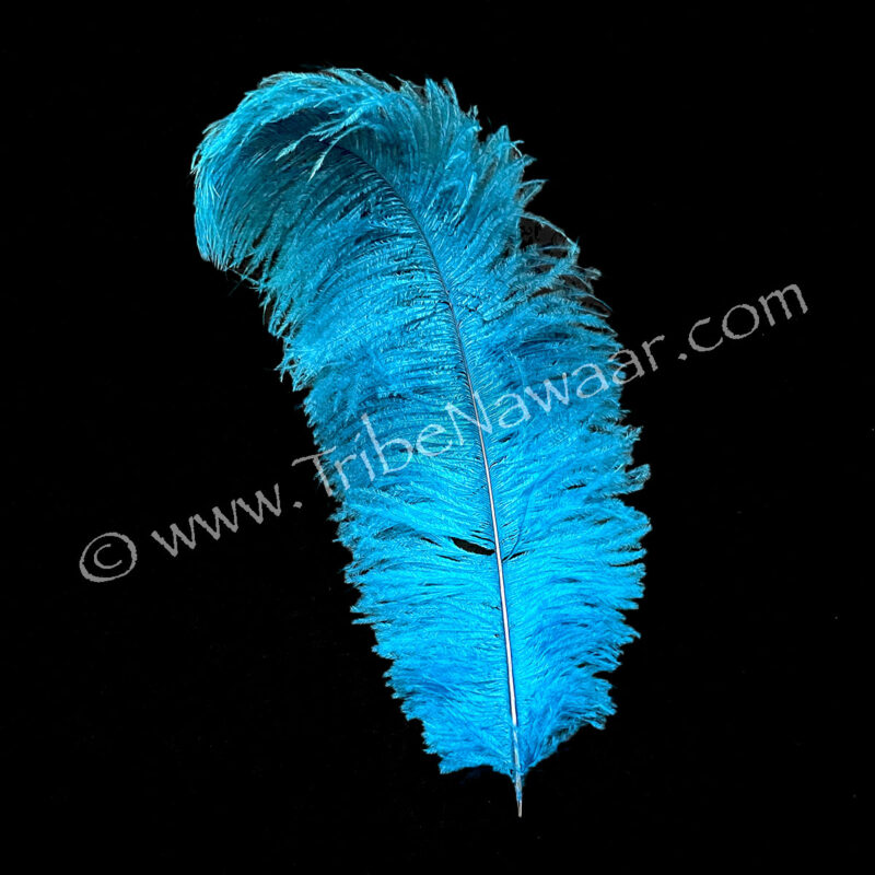 Blue Ostrich Feather