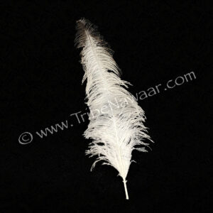 White Ostrich Feather