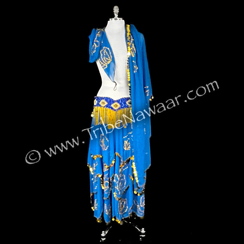 Blue & Gold Belly Dance Set (Consignment jegro1-1)