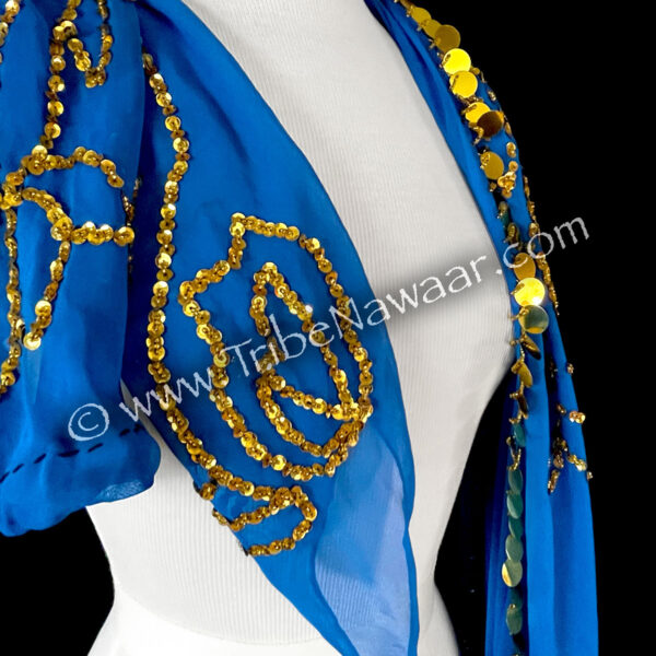 Blue & Gold Belly Dance Set (Consignment jegro1-1)
