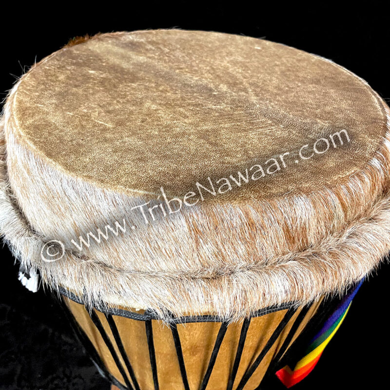 Djembe Drum (Consignment rmoc5-1)