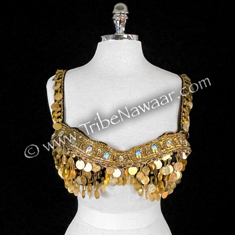 Gold Belly Dance Coin Bra (Consignment tn)