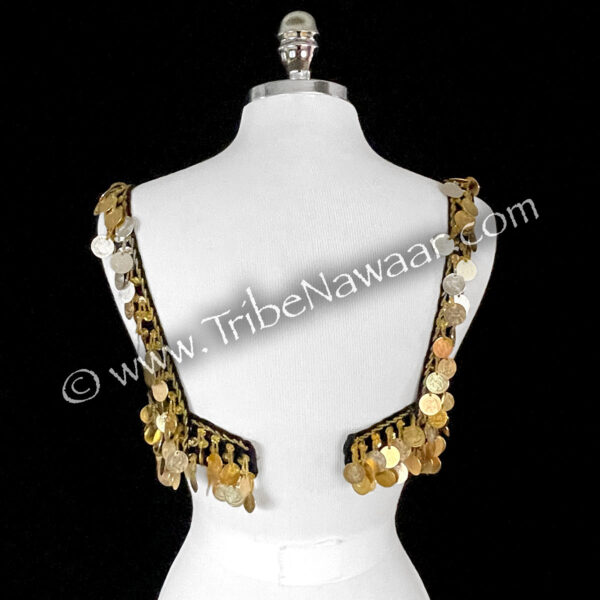 Gold Belly Dance Coin Bra (Consignment tn)