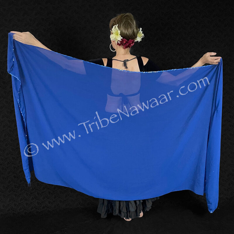 Blue Chiffon Veil With Sequins (Consignment macart1-4)