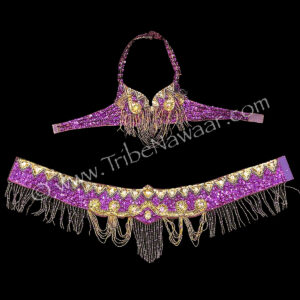 Purple & Gold Bra & Belt Set (Consignment scoo1-1)