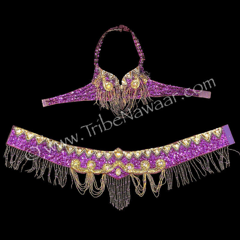 Purple & Gold Bra & Belt Set (Consignment scoo1-1)