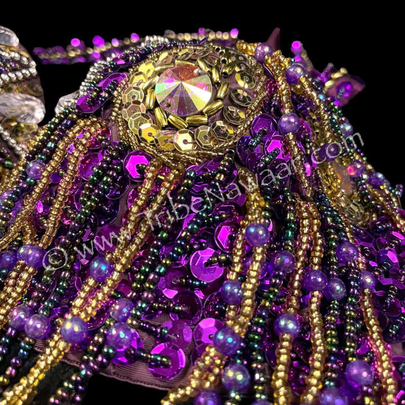 Purple & Gold Bra & Belt Set (Consignment scoo1-1)