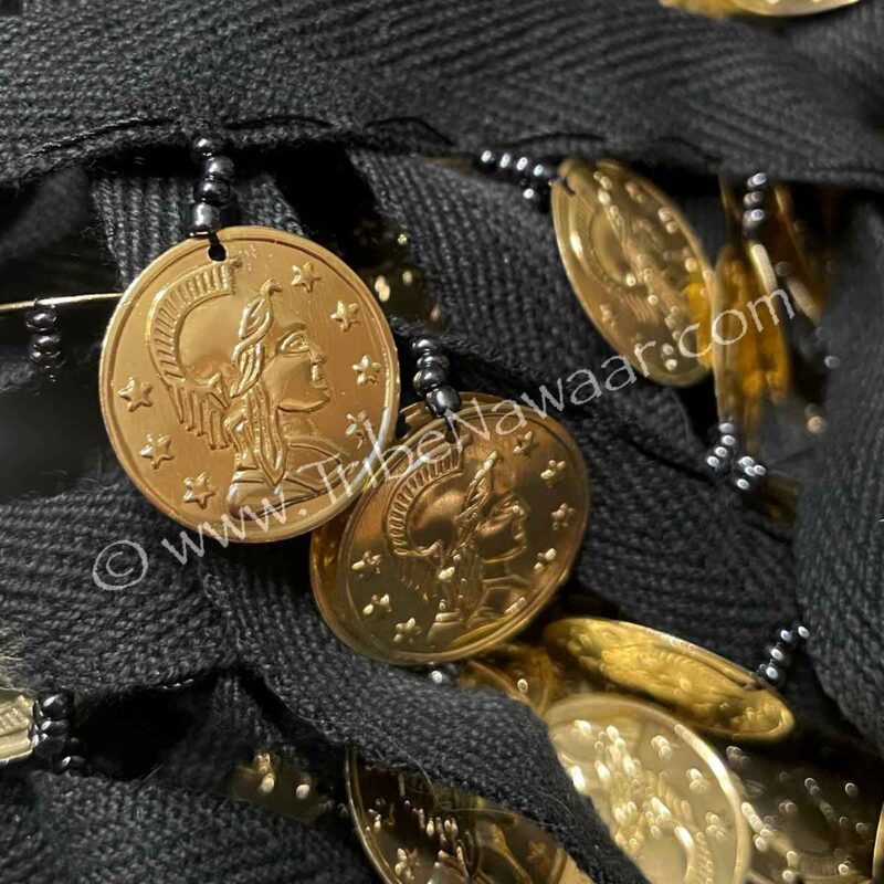 Gold Coin Costuming Trim