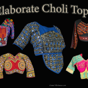 Elaborate Choli Tops