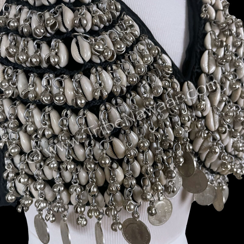 Cowrie, Bell & Coin Belly Dance Bra