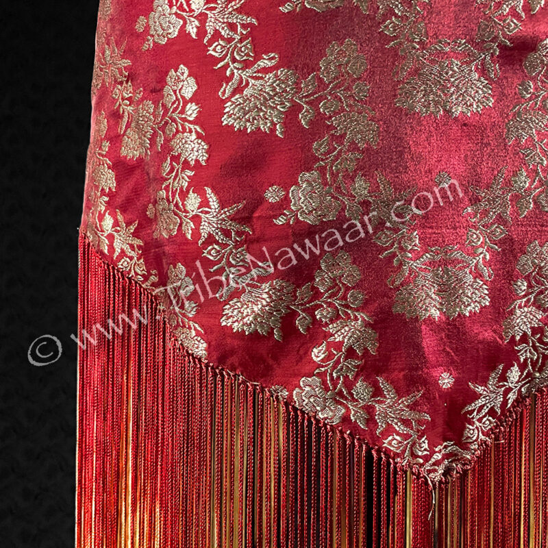 Shimmering Red Sari Fringe Hip Scarf