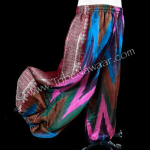 Celebration Sariloons