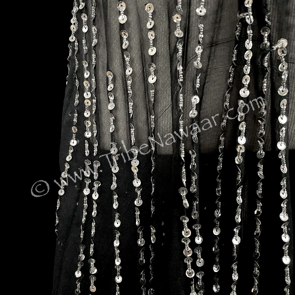 Black Chiffon Pleat Skirt With Silver Sequins (Consignment mbuss)