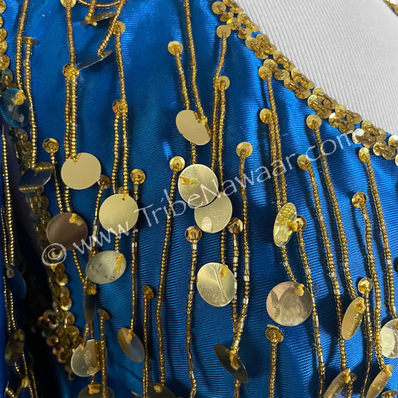 Blue Icicle Paillette Dress With Sleeves (Consignment dearich1-8)