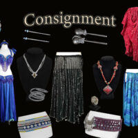 New belly dance consignment costume available on consignment for May 2026 available from the Nawaar Marketplace at www.TribeNawaar.com