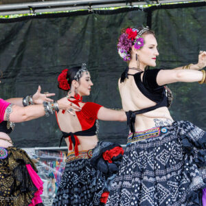 Troupe Combo Package, Advanced Classes Tuesdays & Thursdays