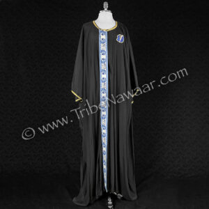 Belly Dance Costuming Coverup (Consignment demain1-21)
