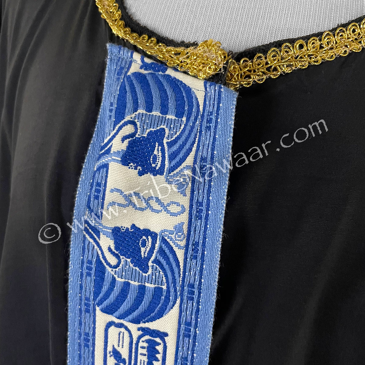 Belly Dance Costuming Coverup (Consignment demain1-21)