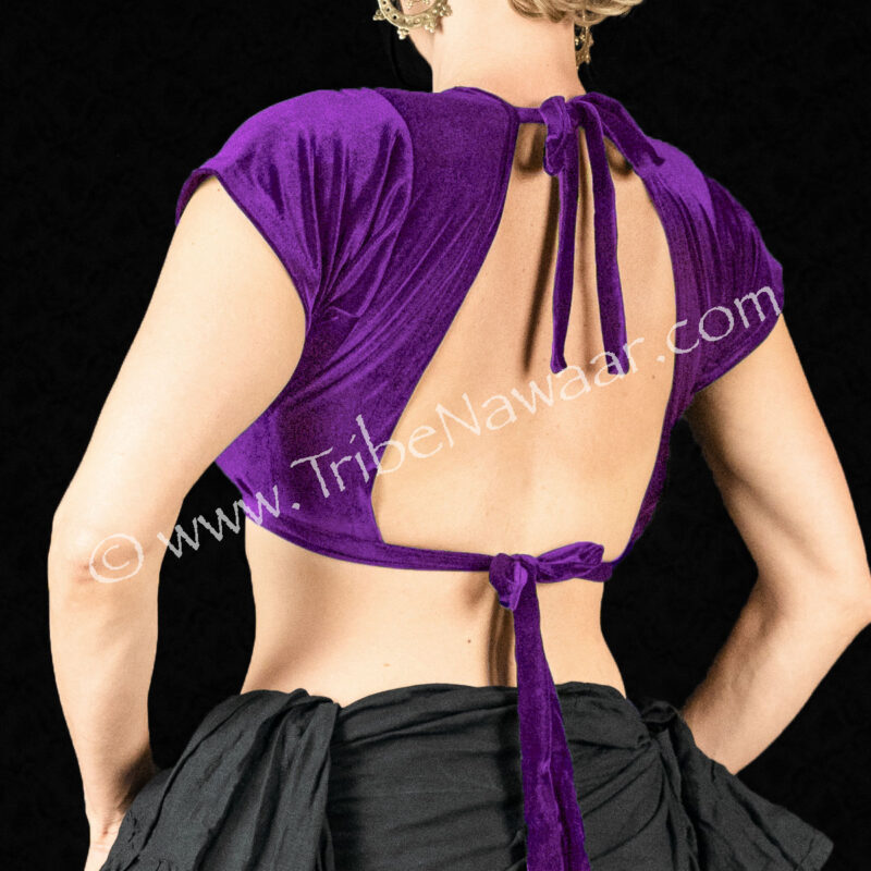 Rich Violet Short Sleeve Velvet Choli